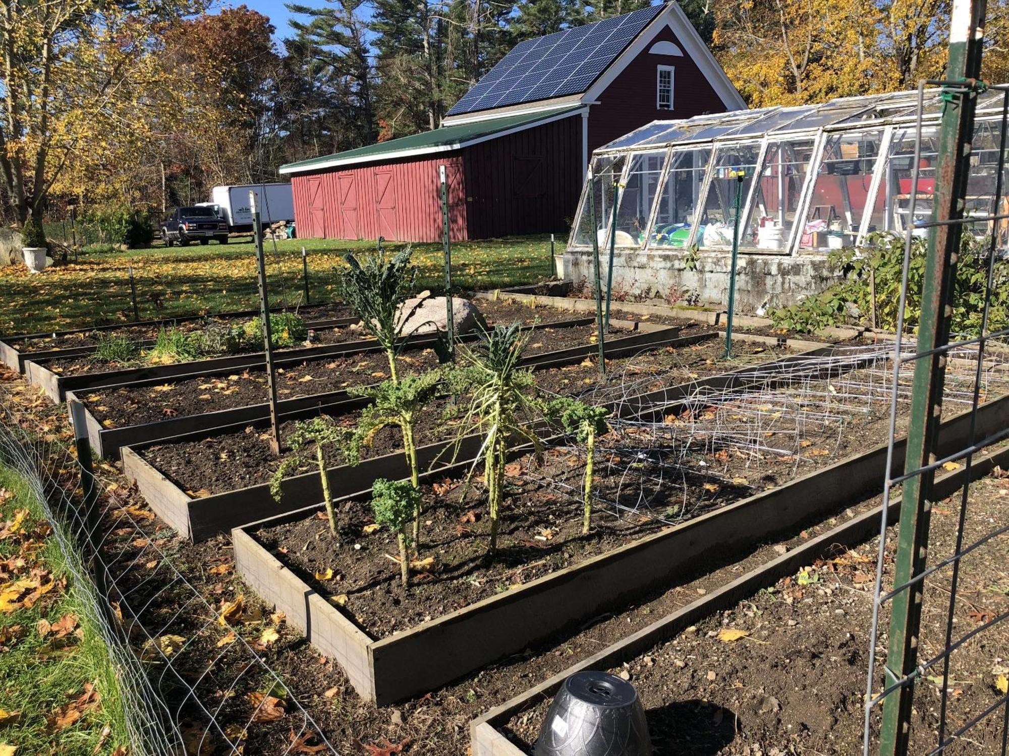 Silvershell Bed & Breakfast